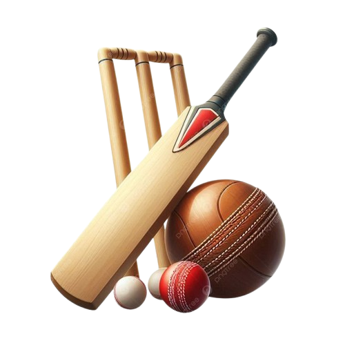 CRICKET BAT
