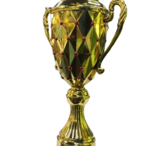 CRICKET WINNERS TROPHY